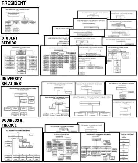 University Organization Chart