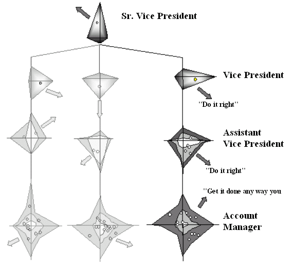 Partial Organizational Structure Telephone Based Collection Facility