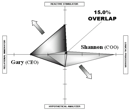 CEO vs COO Strategic Profiles