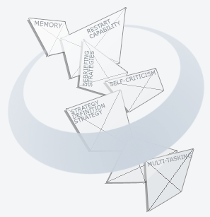 Organizational Engineering Theory and Practice Fragments